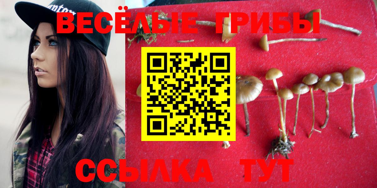 Галлюциногенные грибы MAGIC MUSHROOMS  Галлюциногенные грибы Psilocybe  Амурск  Вход с VPN 